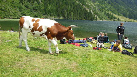 7. ÖDV-Diabetes-Update für Jugendliche 14.-20. Juli 2013 Obertauern