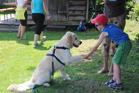 Impressionen vom Schulungs- und Erholungscamp 2013 der ÖDV